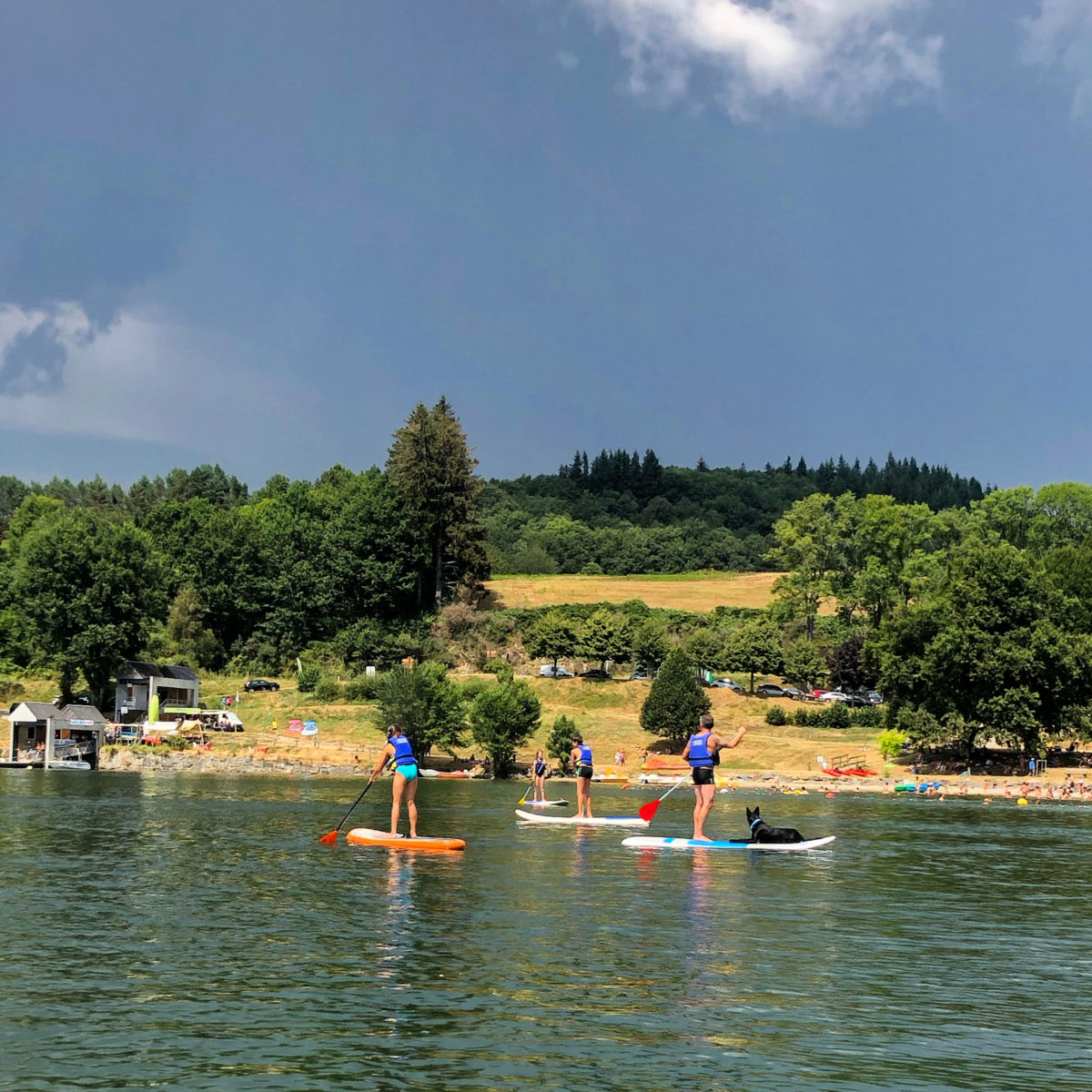 Paddle-lac de la Raviège_chien